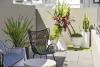 402/21 Enmore Road, Enmore, NSW 2042-Image