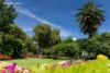 403/66 Glencoe Street, Sutherland, NSW 2232-Image