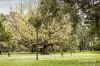 404/505 St Kilda Road, Melbourne, Vic 3004-Image