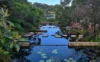404/71-91 Euston Road, Alexandria, NSW 2015-Image