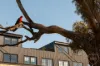 406/1 The Causeway, Kingston, ACT 2604-Image