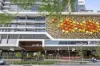 406/55 Railway Terrace, Milton, Qld 4064-Image