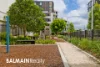 408/2 Nagurra Place, Rozelle, NSW 2039-Image