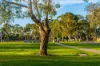 408A/1093-1095 Plenty Road, Bundoora, Vic 3083-Image