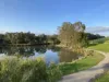 409/18 Berkeley Street, Doncaster, Vic 3108-Image