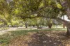 41/177 Stirling Street, Perth, WA 6000-Image