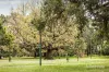 410/505 St Kilda Road, Melbourne, Vic 3004-Image