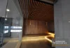 4113/91-95 Liverpool Street, Sydney, NSW 2000-Image