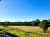 412C/2 Calabria Lane, Prairiewood NSW 2176-Image