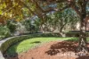 413/1-3 LARKIN STREET, Camperdown, NSW 2050-Image