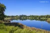 42 Harbourne Road, Kingsford, NSW 2032-Image