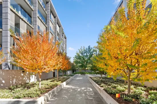 428/2 Grose Street, Deakin, ACT 2600-Image