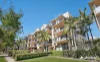 43/55 Harries Road, Coorparoo, Qld 4151