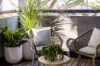432/3 McKinnon Avenue, Five Dock, NSW 2046-Image