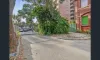 44/227 Vincent Street, West Perth, WA 6005-Image