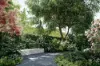 44 Scott Grove, Glen Iris, Vic 3146-Image