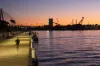 45/81 Point Street, Pyrmont, NSW 2009-Image
