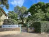 47/7 Newton Street, Alexandria, NSW 2015-Image