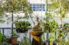48/13 Potter Street, Waterloo, NSW 2017-Image