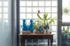 48/13 Potter Street, Waterloo, NSW 2017-Image