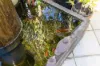 48/13 Potter Street, Waterloo, NSW 2017-Image