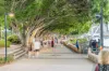 48/26 Lower River Terrace, South Brisbane, Qld 4101-Image