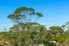 48/4 Kingsway, Dee Why, NSW 2099-Image