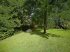 4c/3 Darling Point Road, Darling Point, NSW 2027-Image