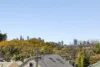 5/187 Evans Street, Rozelle, NSW 2039-Image