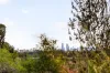 5/198 Lower Heidelberg Road, Ivanhoe East, Vic 3079-Image