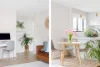 5/2 Carlton Street, Freshwater, NSW 2096-Image
