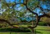 5/21A Billyard Avenue, Elizabeth Bay, NSW 2011-Image