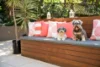 5/230-234 Old South Head Road, Bellevue Hill, NSW 2023-Image