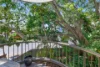 5/2964 Gold Coast Highway, Surfers Paradise, Qld 4217-Image