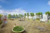 5/30-36 Albany Street, St Leonards, NSW 2065-Image
