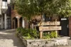 5/4 Livingstone Road, Petersham, NSW 2049-Image
