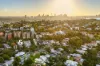 5/41-43 Benelong Crescent, Bellevue Hill, NSW 2023-Image