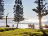 5/5 Clarence Avenue, Dee Why, NSW 2099-Image