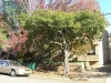 5/50 Wigram Street, Harris Park NSW 2150-Image