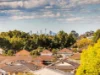 5/568 Forest Road, Penshurst, NSW 2222-Image