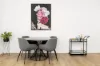 5/597 Orrong Road, Armadale, Vic 3143-Image