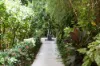 5/66 Macrossan Street, Port Douglas, Qld 4877-Image