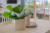 5/76 Durham Street, St Lucia, Qld 4067-Image