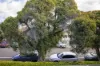 5/81-83 Samuel Street, Tempe, NSW 2044-Image
