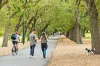 501/442 St Kilda Road, Melbourne, Vic 3004-Image