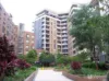 5019/57-59 Queen Street, Auburn, NSW 2144-Image