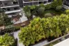 502/20 Dunkerley Place, Waterloo, NSW 2017-Image