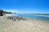 502/372-374 Marine Parade, Labrador, Qld 4215-Image