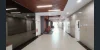 503/1 Markham Place, Ashfield, NSW 2131-Image