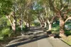 503C/5 Pope Street, Ryde, NSW 2112-Image